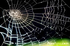 101 câu hỏi hay nhất mọi thời đại <i>(Kỳ 16)</i>