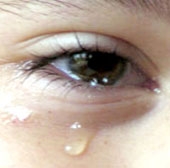 101 Câu hỏi hay nhất mọi thời đại (kỳ 18)