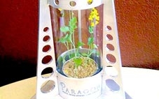 Trồng rau trên Mặt trăng