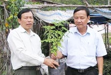 Thảo dược quý hiếm, giá trị kinh tế cao