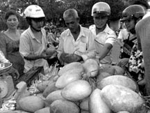 Xoài lạ đắt hàng