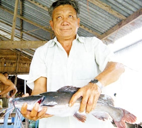 Nuôi cá lăng nha - ngư dân đầu nguồn phát lên