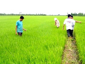 Mùa mưa cần phòng tránh sét đánh