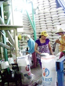 Hứa hẹn kinh tế phục hồi?