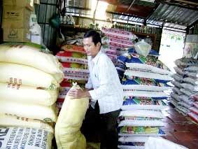 Giá phân bón sẽ còn giảm?