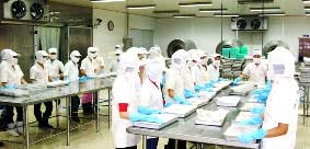 Khi con cá tra được giải oan!