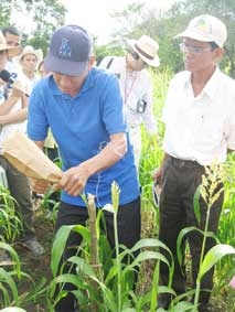 "kỹ sư chân đất" góp sức cho cộng đồng