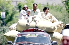 Pakistan đẩy mạnh chiến dịch tấn công Taliban
