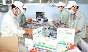 Doanh nghiệp chú trọng ổn định lao động để đẩy mạnh sản xuất
