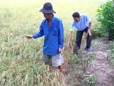 Nông dân "trắng tay", ai chia sẻ ?