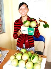 Nỗi lo từ vùng chuyên canh cây ăn trái xuất khẩu