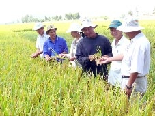 Phải phù hợp linh hoạt!