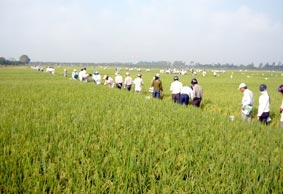 Cần đáp án cụ thể cho bài toán quỹ đất nông nghiệp