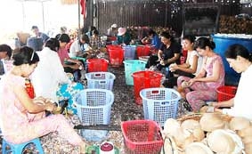 "Tam nông" ở ĐBSCL - Nhìn từ góc độ phát triển làng nghề