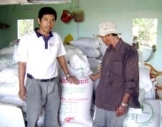 Bất cập trong sản xuất và quản lý giống