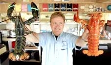 Tôm hùm sống như chín