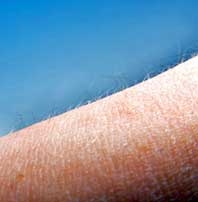 Da người - “thảo cầm viên vi khuẩn”