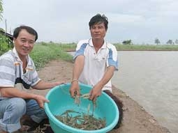 Phập phồng nỗi lo...!