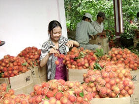 Nông nghiệp từng bước phát triển trong hội nhập