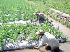 Hướng đến nguồn lao động chất lượng cao, đáp ứng yêu cầu xã hội