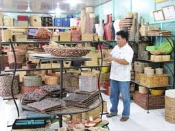 Đưa lục bình xuất ngoại...