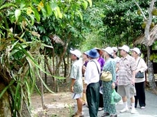 Doanh nghiệp lữ hành ứng phó trước dịch cúm