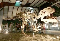 Khủng long nhẹ hơn chúng ta tưởng