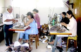 Vai trò HTX trong tạo việc làm và giảm nghèo