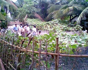 Dây mướp dài hơn 30m và cho 210 trái