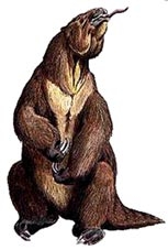 Sinh vật tuyệt chủng có thể trở lại Trái đất? <i>(tiếp theo và hết) </i>