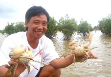 Hiệu quả mô hình nuôi thủy sản kết hợp