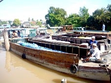 Thị trường sôi động, nhà nông phấn khởi!