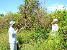 Lòng dân chưa yên