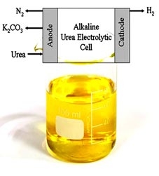 Nước tiểu có thể trở thành nhiên liệu ô tô