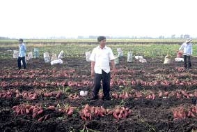 Nỗi lo đầu ra... !