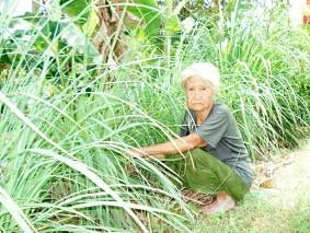 Bà Bảy Thâu cần có tuổi già bình an!