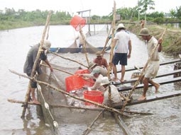 Mô hình giảm chi phí và rủi ro