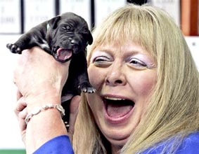 Hàn Quốc: Điều trị chó mèo bằng liệu pháp tế bào gốc