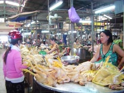 Nguồn cung tăng, giá gia cầm giảm mạnh