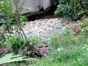 Rác thải tràn lan!