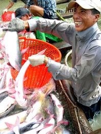 Kinh nghiệm thành công ở một hợp tác xã mạnh