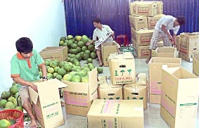 Nỗ lực gỡ khó cho xuất khẩu nông, thủy sản