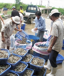 Cần hướng đến mục tiêu phát triển bền vững