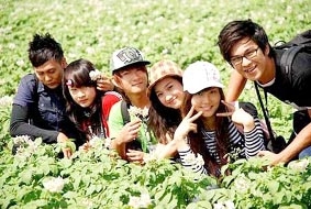 “Mùa hè sôi động”  <br>
<i>Một góc nhìn mới về “tuổi teen”</i>