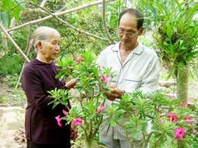 Từ luống cày nuôi 7 người con thành đạt