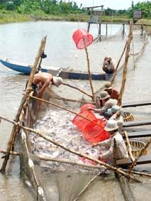 Tiềm năng và thách thức