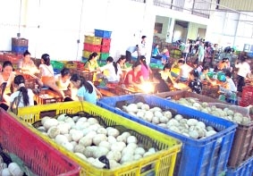 Trứng vịt muối - Mặt hàng có thế mạnh xuất khẩu