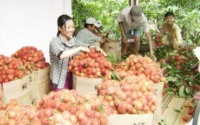 Hướng đi nào để ĐBSCL phát triển bền vững ?