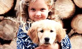 Chó thông minh như trẻ 2,5 tuổi