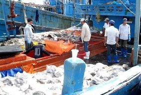 Vững vàng trước "đợt sóng" tăng giá xăng dầu